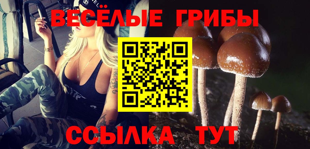 Галлюциногенные грибы прущие грибы  Вход с VPN  Видное  Псилоцибиновые грибы Psilocybine cubensis 