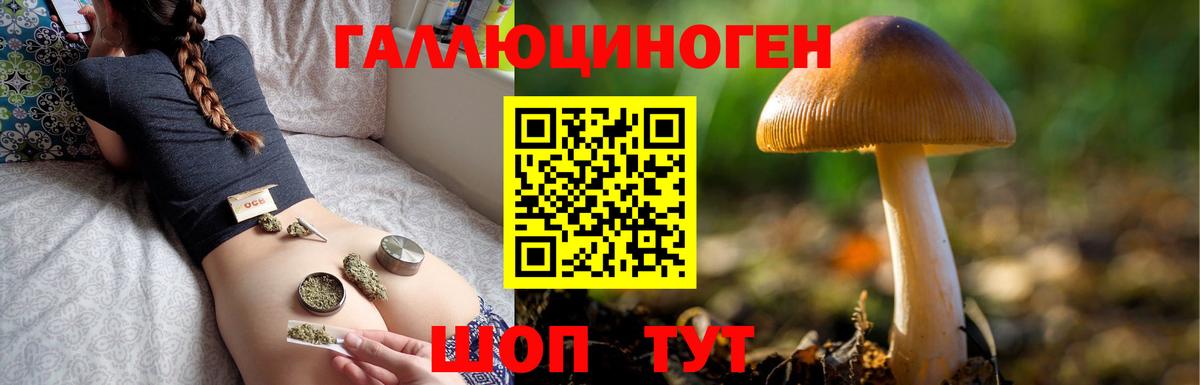 Галлюциногенные грибы Psilocybe Видное